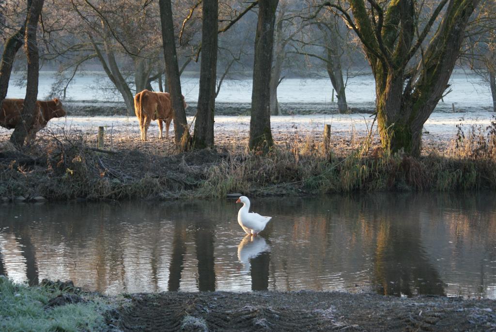 Le Gite De L Ourthe Villa Ortheuville ภายนอก รูปภาพ