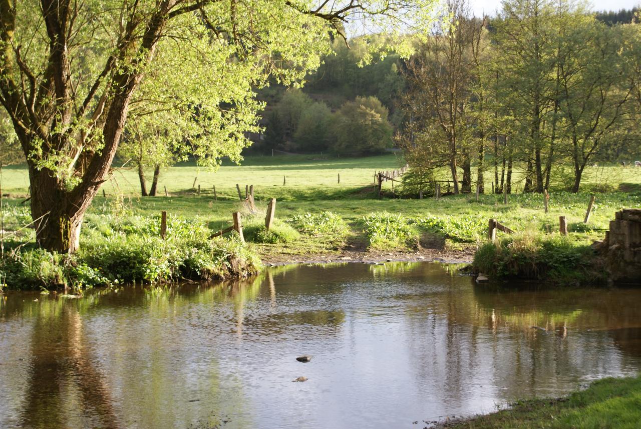 Le Gite De L Ourthe Villa Ortheuville ภายนอก รูปภาพ